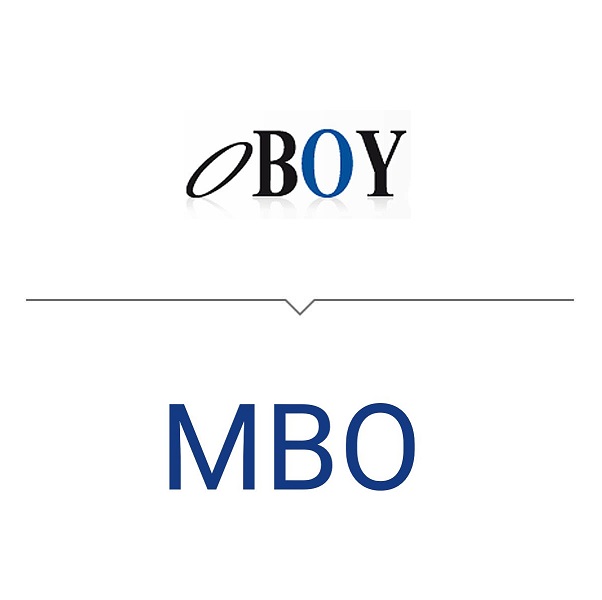 insoconsult_Vorlage-Referenz_Oboy